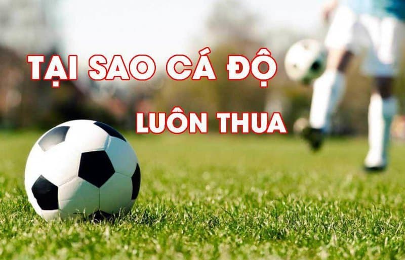 Một vài mẹo để bet thủ không thua